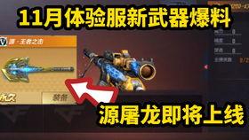 cf手游体验服5周年最新爆料,体验服全新爆料，精彩内容抢先看！