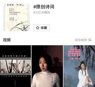 詩视频,探寻诗与画交融的视觉奇境